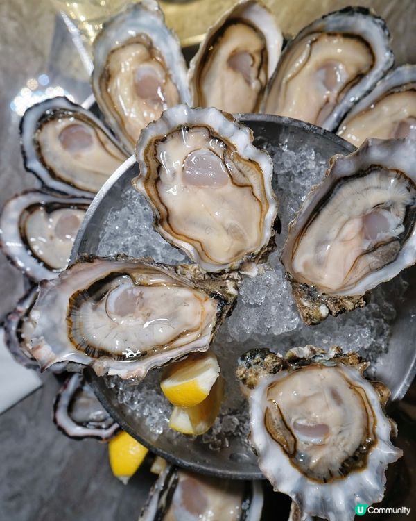 🍻酒鬼帶路食生蠔🦪