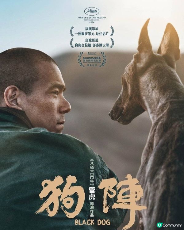 第43屆香港電影金像獎提名狗陣影評 #西北荒漠，人狗共鳴💔