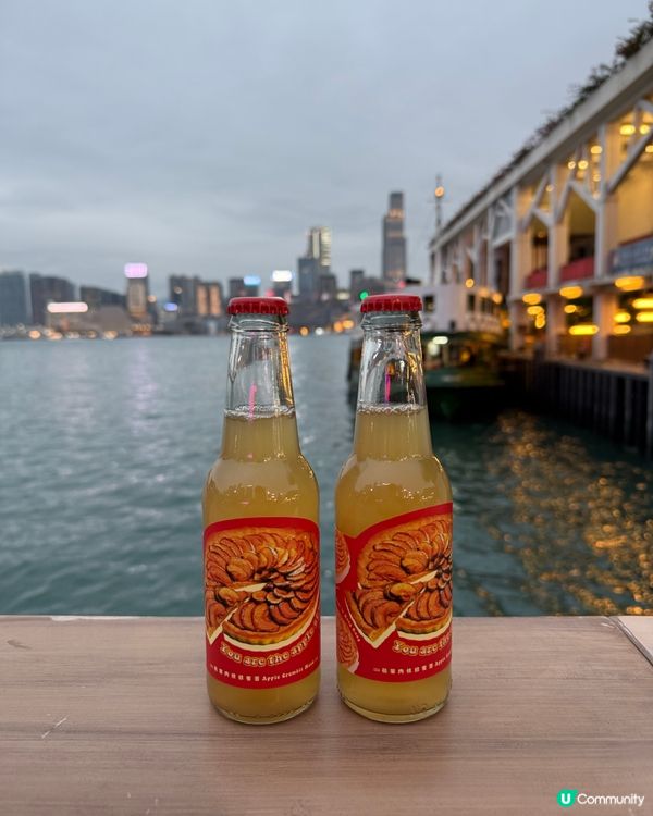 尖沙咀天星碼頭最新酒室🤩每個人都有屬於自己的大海🌊