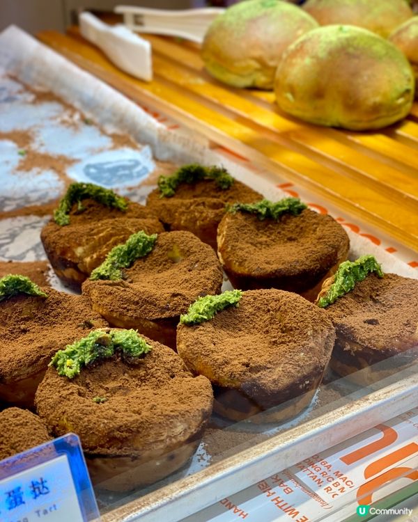 ✨深圳🇨🇳-⚠️💬高顏值超酥脆蛋撻⁉️💢竟然失色…‼️📍八目烘焙