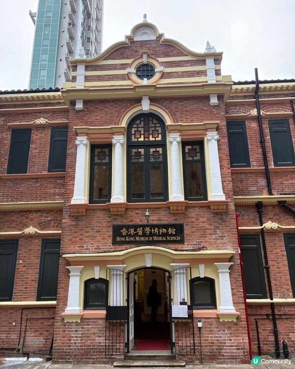 回顧香港公共醫號發展里程