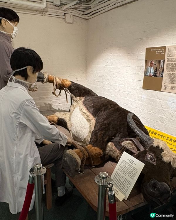 回顧香港公共醫號發展里程