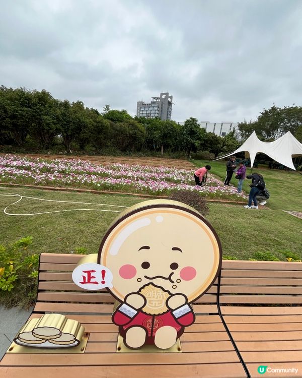 #好去處#chill#隱世打卡點#打卡#旅行手信推介#chi...