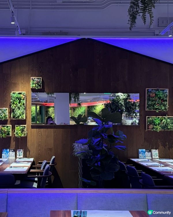 銅鑼灣綠洲🌿二人套餐好抵食！