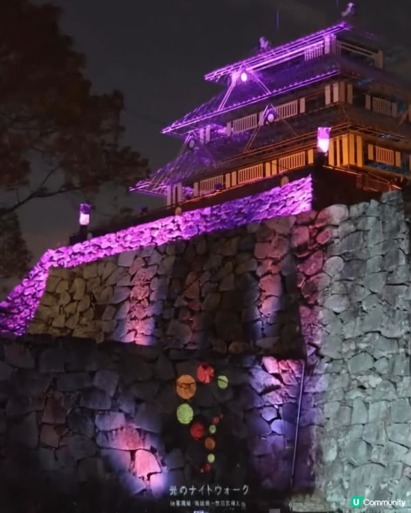 晚上幻之天守閣及櫻花