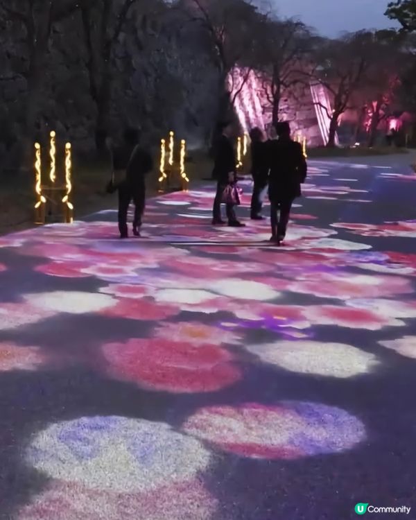 晚上幻之天守閣及櫻花