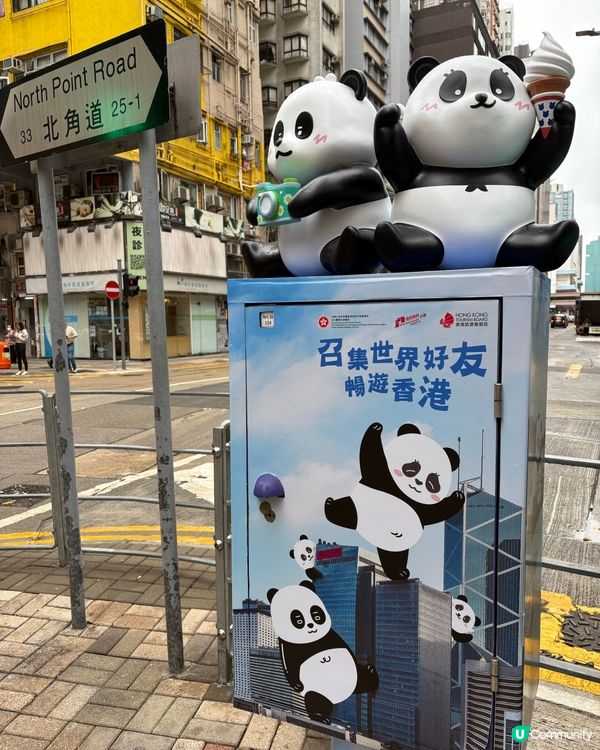 熊貓🐼又喺邊度？