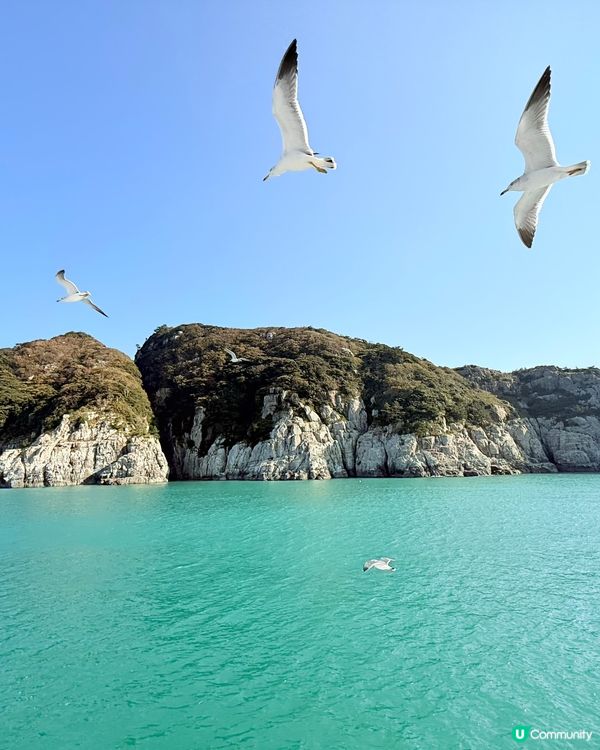 韓國巨濟海金剛