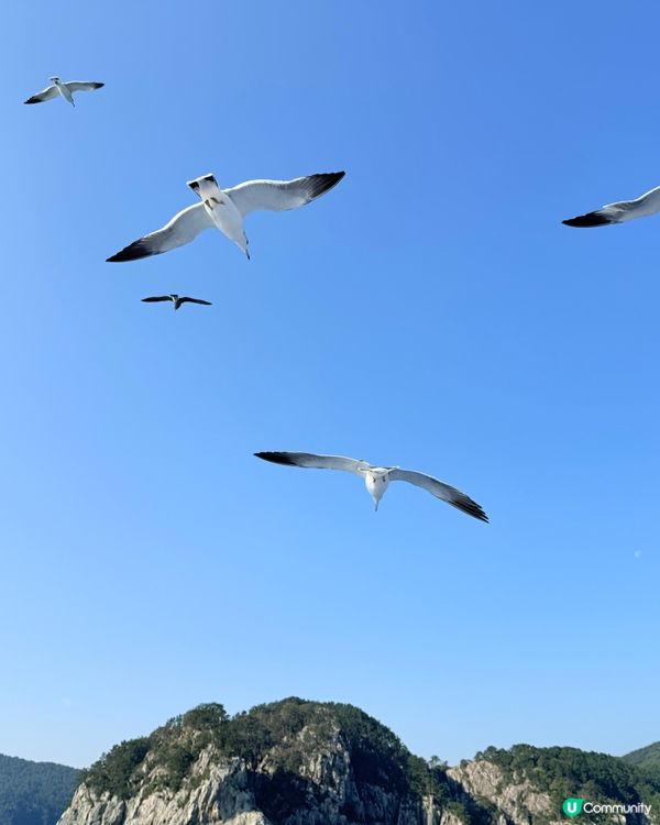 韓國巨濟海金剛