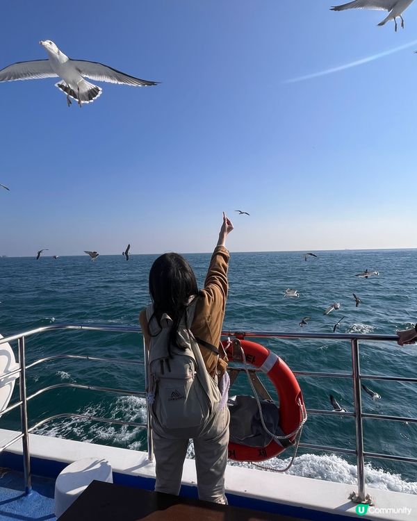 韓國巨濟海金剛