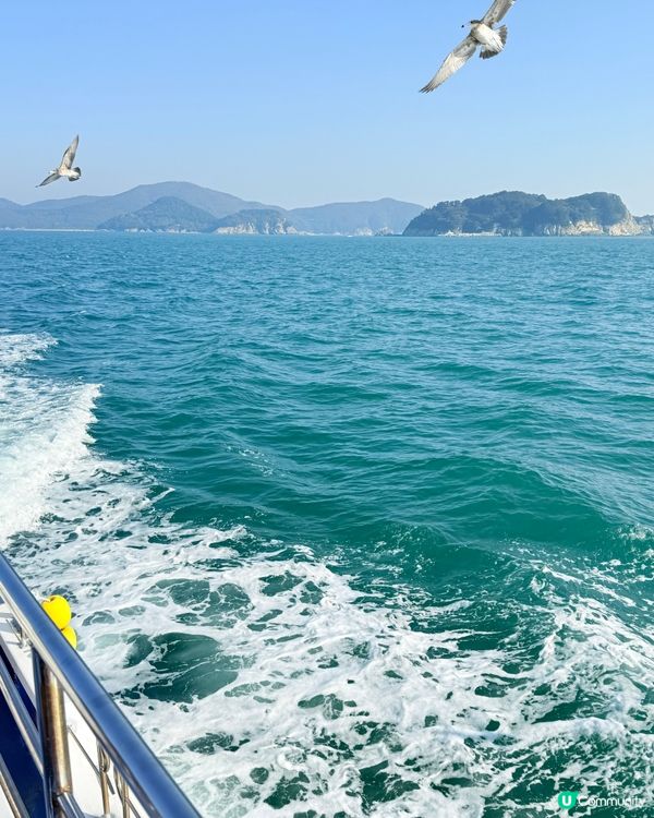 韓國巨濟海金剛