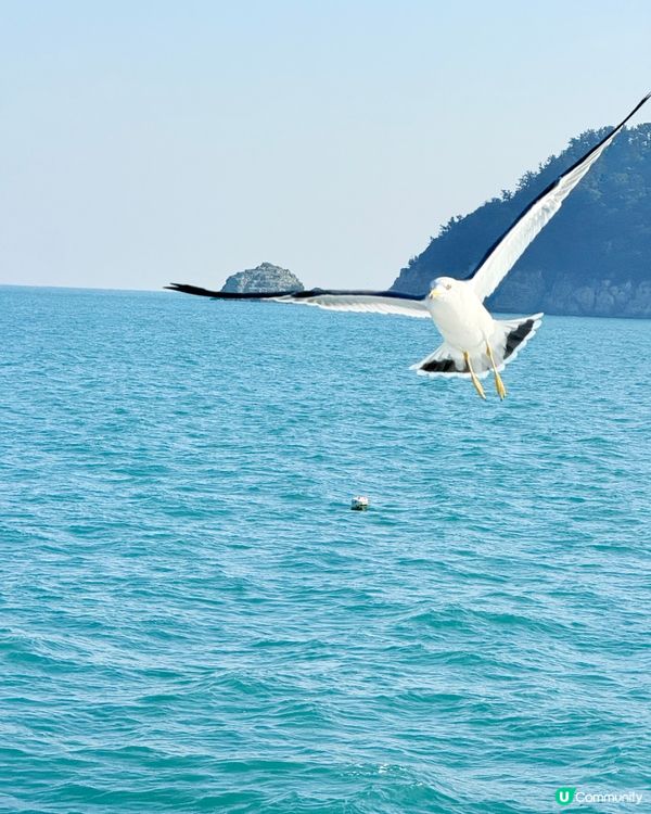 韓國巨濟海金剛