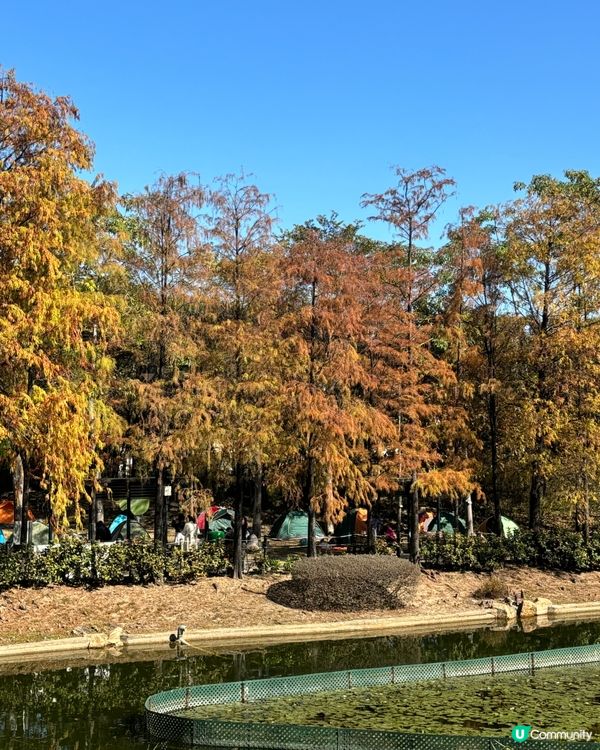 留咗係香港都有好多美景打卡地方,好似大自然景色同熊貓chec...