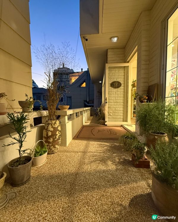 釜山選物店-Paper garden