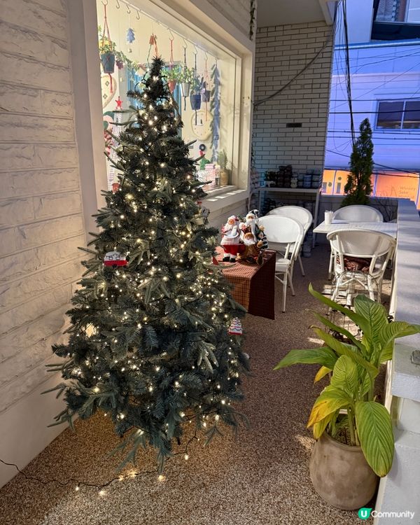 釜山選物店-Paper garden