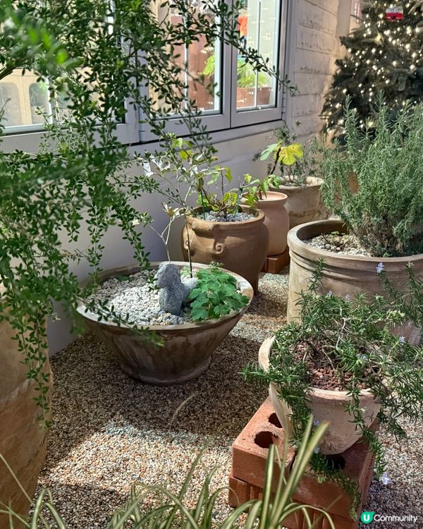 釜山選物店-Paper garden