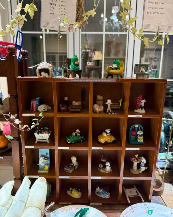 釜山選物店-Paper garden