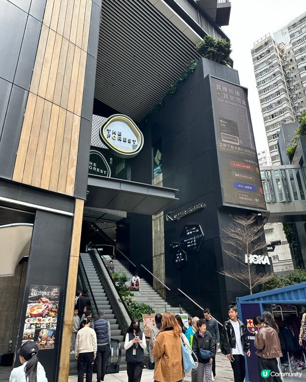 旺角飲茶☕️～老馮茶居🫖