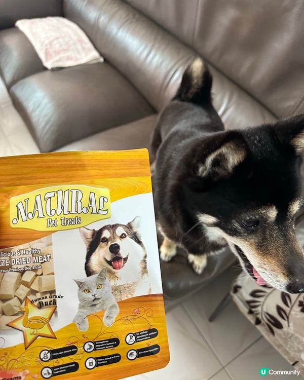 旺角寵物城～🐶食+修護噴霧