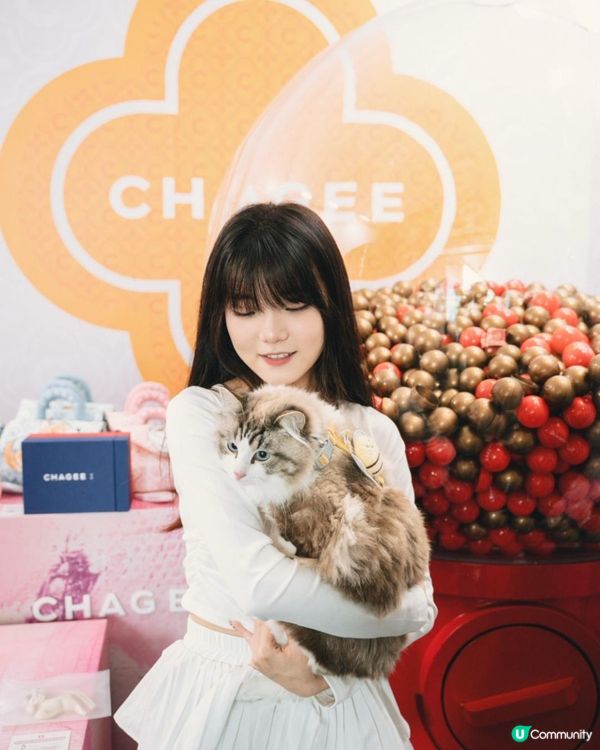 🐶🐱帶毛孩去尖沙咀1881玩！🤩