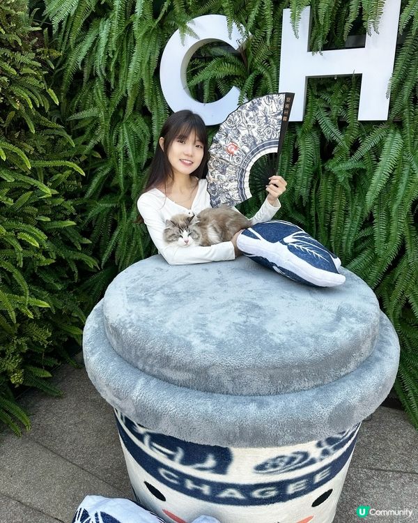 🐶🐱帶毛孩去尖沙咀1881玩！🤩