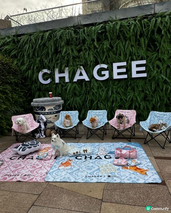 🐶🐱帶毛孩去尖沙咀1881玩！🤩