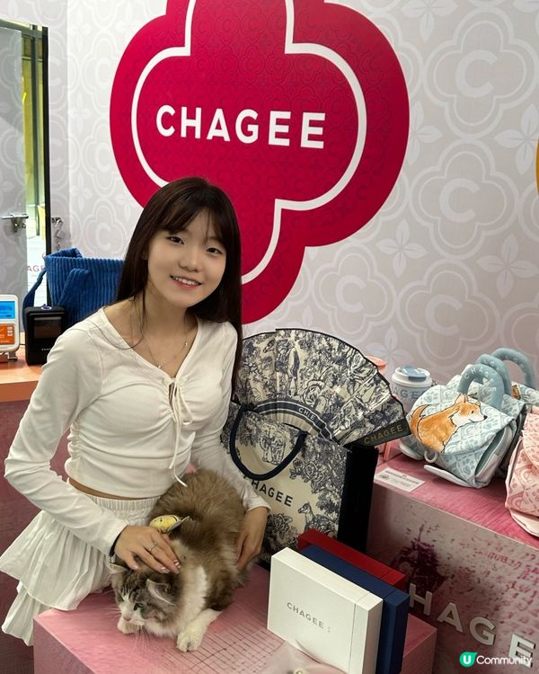 🐶🐱帶毛孩去尖沙咀1881玩！🤩