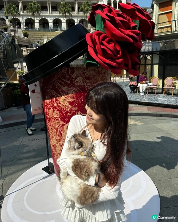 🐶🐱帶毛孩去尖沙咀1881玩！🤩