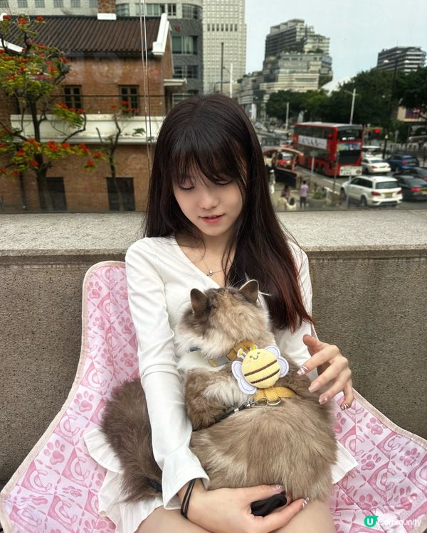 🐶🐱帶毛孩去尖沙咀1881玩！🤩