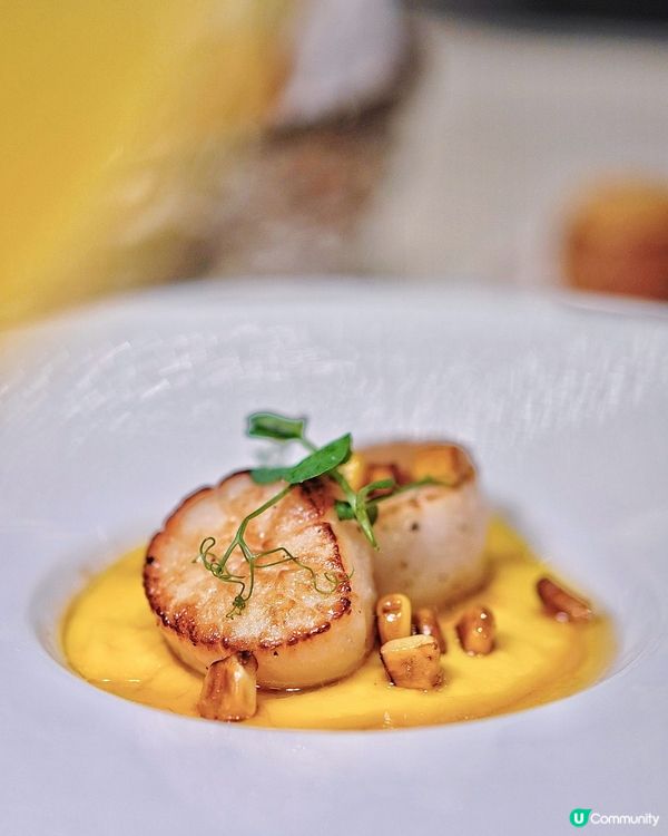 歐陸新餐廳登場！🤩  仙后餐廳原址，Landau家族新搞作！