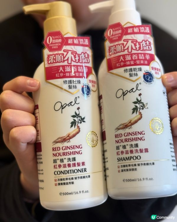 ## 學生時代最愛焗油神器 👩‍🎓