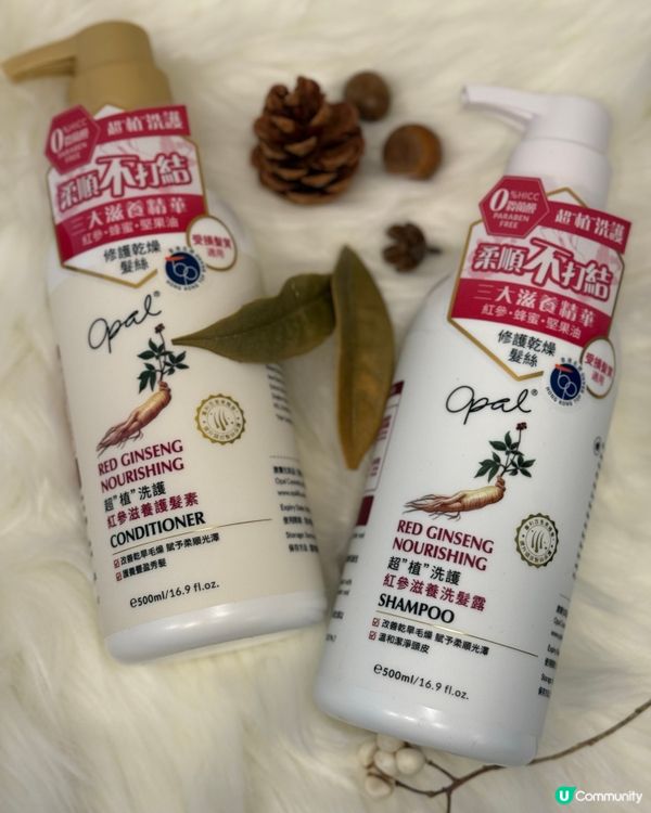 ## 學生時代最愛焗油神器 👩‍🎓