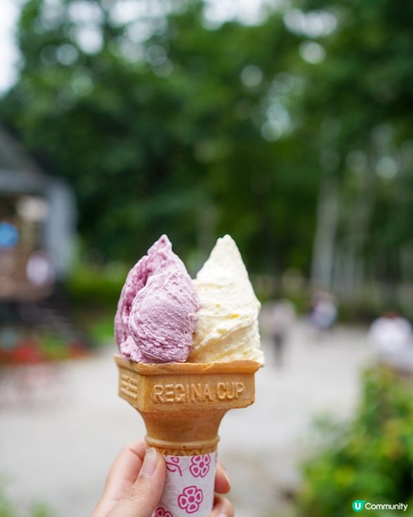 北海道富良野芝士工房 Gelato店