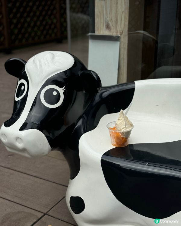 北海道富良野芝士工房 Gelato店