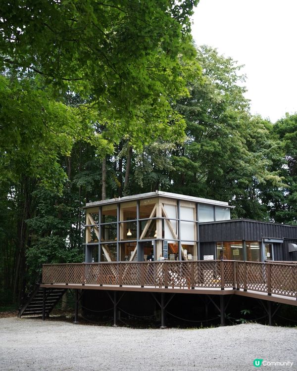 北海道富良野芝士工房 Gelato店