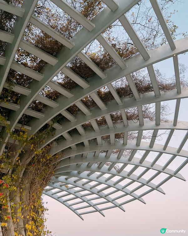 尖沙咀超美打卡位📸