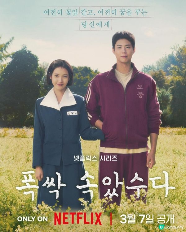 Netflix新劇《苦盡柑來遇見你》朴寶劍IU愛到要私奔極浪漫