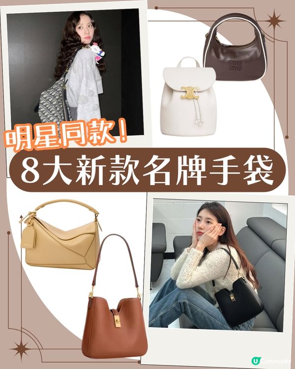 2025名牌手袋 8大明星同款名牌手袋👜 CELINE Dior LV 一次過睇！✨