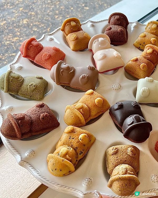 濟州島必買小蛋糕🍰