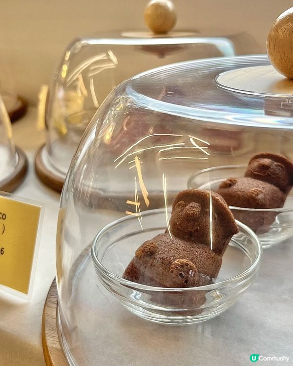 濟州島必買小蛋糕🍰