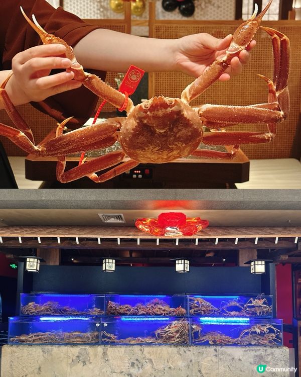 深圳蟹宴🦀平安金融中心蟹料理專門店