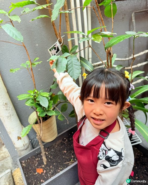 心深遊 vol. 3  ｢一日店長｣親子企劃