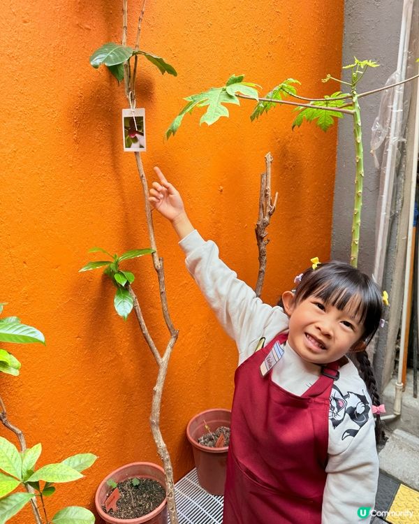 心深遊 vol. 3  ｢一日店長｣親子企劃