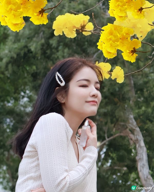 ## 🌸 3月限定！金合歡花香系列，感謝女性力量！