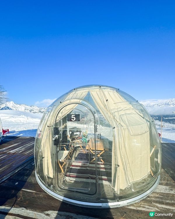 ❄️ 新潟雪地圓頂帳篷露營 ⛺️