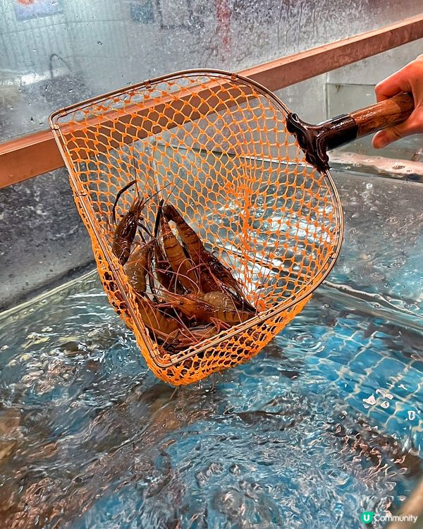 深圳必食海鮮燒烤🔥李小太家，人氣爆燈！🤩