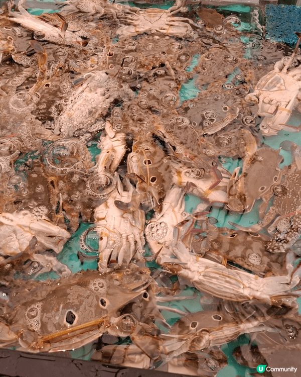 喜愛食水產的你，不要錯過這間千海水產。水產有蝦，蟹，蜆，每款...