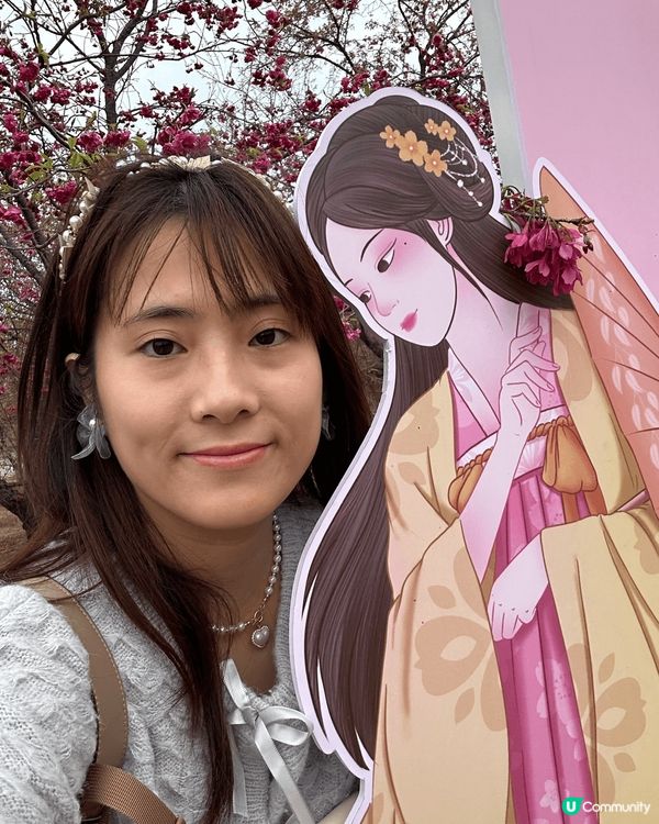 上個月去了韶關看櫻花，第一次看櫻花，櫻花像星星一樣星羅滿佈，...