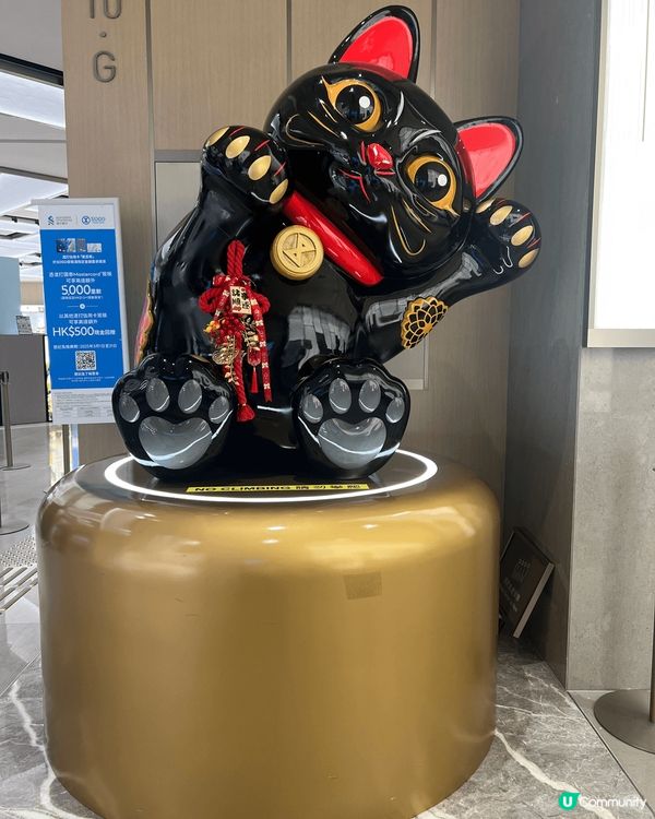 啟德sogo最近以招財貓為主題，