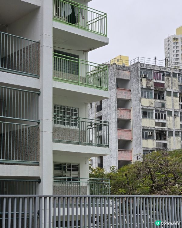 香港屋邨遊 - 南山邨